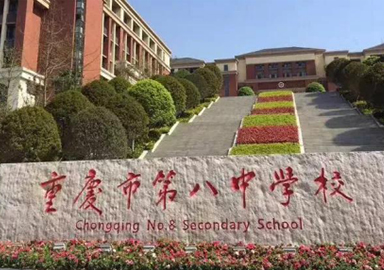 重慶市第八中學電纜敷設項目